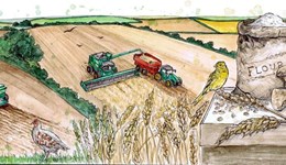 Back to the Monitor Farm: Driffield